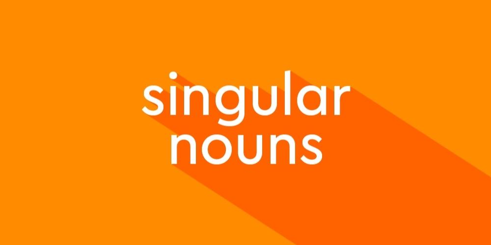 Danh từ số ít - Singular Nouns