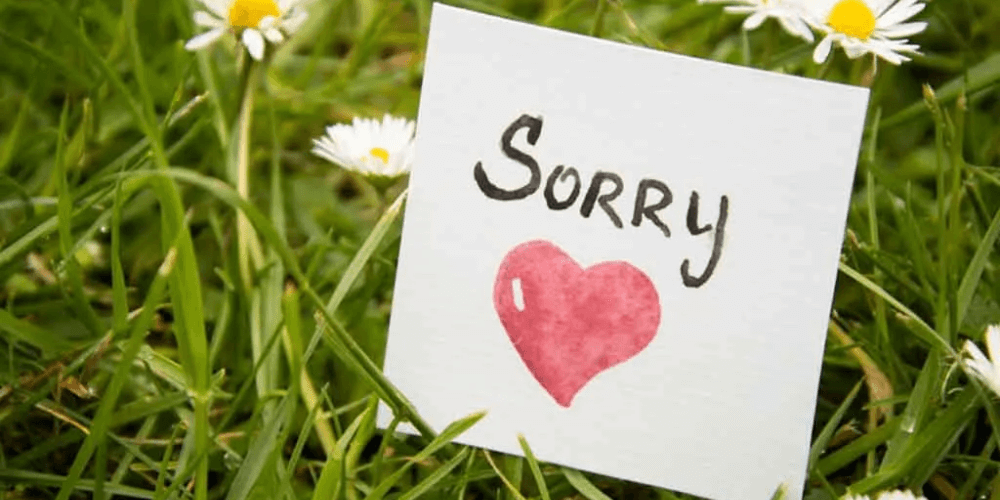 Các câu xin lỗi bằng tiếng Anh trong tình yêu