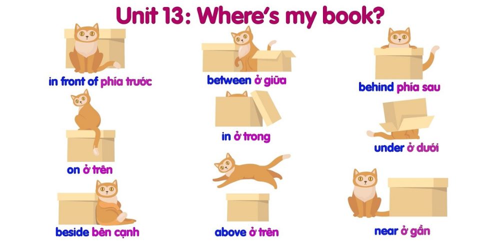 Từ vựng Unit 13 - Where's my book?